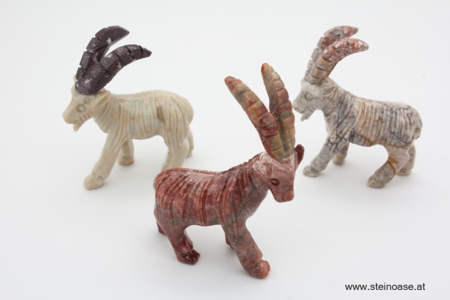 Steinbock Speckstein Gr.S
